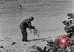 Image les troupes des États-Unis Ulithi Atoll Îles Caroline, 1944, de la seconde 15 séquences d'archives historiques vidéo 65675069708