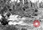 Standbild Vereinigten Staaten Truppen Ulithi Atoll Karolinen Inseln, 1944, aus Sekunde 14 historischem Filmmaterial Videoclip 65675069709
