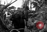 Standbild Vereinigten Staaten Truppen Ulithi Atoll Karolinen Inseln, 1944, aus Sekunde 32 historischem Filmmaterial Videoclip 65675069709
