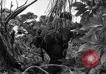 Standbild Vereinigten Staaten Truppen Ulithi Atoll Karolinen Inseln, 1944, aus Sekunde 33 historischem Filmmaterial Videoclip 65675069709