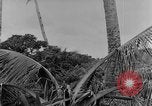 Standbild Vereinigten Staaten Truppen Ulithi Atoll Karolinen Inseln, 1944, aus Sekunde 50 historischem Filmmaterial Videoclip 65675069709