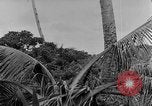 Standbild Vereinigten Staaten Truppen Ulithi Atoll Karolinen Inseln, 1944, aus Sekunde 54 historischem Filmmaterial Videoclip 65675069709