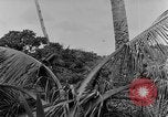 Standbild Vereinigten Staaten Truppen Ulithi Atoll Karolinen Inseln, 1944, aus Sekunde 56 historischem Filmmaterial Videoclip 65675069709