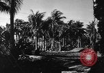 Image of construction of airstrip Ulithi Atoll Caroline Islands, 1944, second 61 stock footage video 65675069717