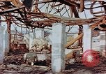 Image of physical damage Nagasaki Japan, 1946, second 61 stock footage video 65675069722