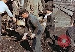 Image of laborers employed Nagasaki Japan, 1945, second 5 stock footage video 65675069728
