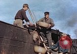 Image of laborers employed Nagasaki Japan, 1945, second 18 stock footage video 65675069728