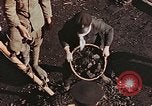 Image of laborers employed Nagasaki Japan, 1945, second 35 stock footage video 65675069728