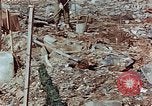 Image of drying seaweeds Nagasaki Japan, 1946, second 7 stock footage video 65675069729
