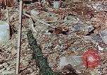 Image of drying seaweeds Nagasaki Japan, 1946, second 8 stock footage video 65675069729
