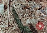 Image of drying seaweeds Nagasaki Japan, 1946, second 9 stock footage video 65675069729