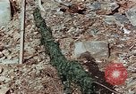 Image of drying seaweeds Nagasaki Japan, 1946, second 10 stock footage video 65675069729
