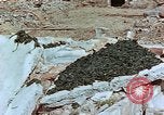 Image of drying seaweeds Nagasaki Japan, 1946, second 12 stock footage video 65675069729