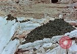 Image of drying seaweeds Nagasaki Japan, 1946, second 15 stock footage video 65675069729