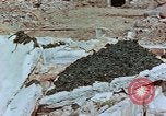 Image of drying seaweeds Nagasaki Japan, 1946, second 16 stock footage video 65675069729