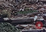 Image of drying seaweeds Nagasaki Japan, 1946, second 17 stock footage video 65675069729
