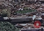 Image of drying seaweeds Nagasaki Japan, 1946, second 18 stock footage video 65675069729