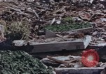 Image of drying seaweeds Nagasaki Japan, 1946, second 19 stock footage video 65675069729