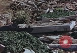 Image of drying seaweeds Nagasaki Japan, 1946, second 21 stock footage video 65675069729