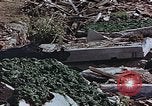 Image of drying seaweeds Nagasaki Japan, 1946, second 22 stock footage video 65675069729