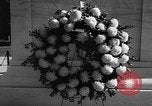 Image of Veterans Day Washington DC USA, 1956, second 30 stock footage video 65675069733