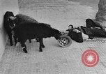 Image of Suez Crisis Egypt, 1956, second 47 stock footage video 65675069737