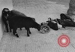 Image of Suez Crisis Egypt, 1956, second 48 stock footage video 65675069737