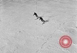 Image of avalanche on Canadian rockies Canada, 1956, second 21 stock footage video 65675069742