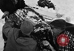 Image of avalanche on Canadian rockies Canada, 1956, second 59 stock footage video 65675069742