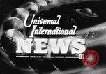 Image of Hungarian refugees Austria, 1956, second 7 stock footage video 65675069745