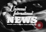 Image of Hungarian refugees Austria, 1956, second 9 stock footage video 65675069745