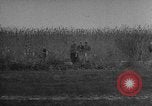 Image of Hungarian refugees Austria, 1956, second 45 stock footage video 65675069745