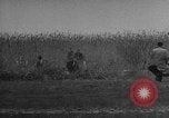 Image of Hungarian refugees Austria, 1956, second 46 stock footage video 65675069745