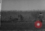 Image of Hungarian refugees Austria, 1956, second 47 stock footage video 65675069745