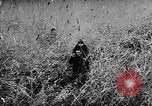 Image of Hungarian refugees Austria, 1956, second 48 stock footage video 65675069745