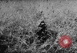 Image of Hungarian refugees Austria, 1956, second 49 stock footage video 65675069745