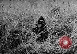 Image of Hungarian refugees Austria, 1956, second 50 stock footage video 65675069745