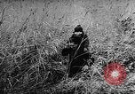 Image of Hungarian refugees Austria, 1956, second 51 stock footage video 65675069745