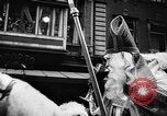 Immagine di Saint Nickolas Amsterdam Paesi Bassi, 1956, secondo 5 filmato di repertorio 65675069747