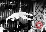 Immagine di Tonisko esegue acrobazie Spagna, 1956, secondo 8 filmato di repertorio 65675069748