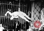 Immagine di Tonisko esegue acrobazie Spagna, 1956, secondo 9 filmato di repertorio 65675069748