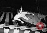 Immagine di Tonisko esegue acrobazie Spagna, 1956, secondo 25 filmato di repertorio 65675069748