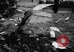 Immagine di Arresto del velivolo Parigi Francia, 1957, secondo 24 filmato di repertorio 65675069754