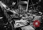 Immagine di Arresto del velivolo Parigi Francia, 1957, secondo 26 filmato di repertorio 65675069754
