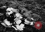Immagine di Arresto del velivolo Parigi Francia, 1957, secondo 32 filmato di repertorio 65675069754