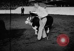 Standbild Live-Stock anzeigen Chicago Illinois USA, 1957, aus Sekunde 4 historischem Filmmaterial Videoclip 65675069758