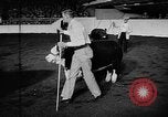 Standbild Live-Stock anzeigen Chicago Illinois USA, 1957, aus Sekunde 5 historischem Filmmaterial Videoclip 65675069758