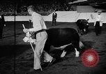 Standbild Live-Stock anzeigen Chicago Illinois USA, 1957, aus Sekunde 6 historischem Filmmaterial Videoclip 65675069758