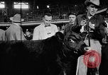 Standbild Live-Stock anzeigen Chicago Illinois USA, 1957, aus Sekunde 10 historischem Filmmaterial Videoclip 65675069758