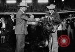 Standbild Live-Stock anzeigen Chicago Illinois USA, 1957, aus Sekunde 14 historischem Filmmaterial Videoclip 65675069758